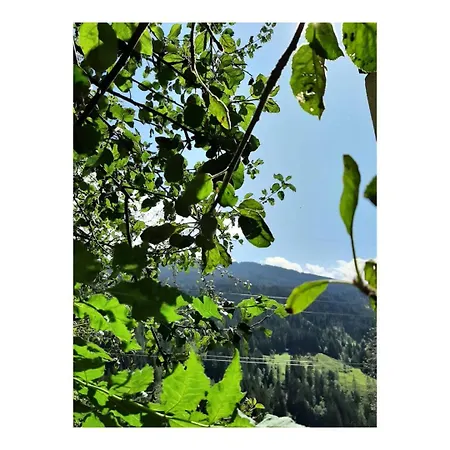 Landhof Kreuzsalgut Apartman *