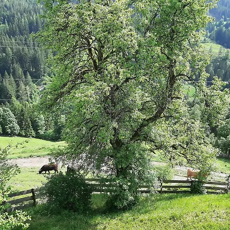 Apartman Landhof Kreuzsalgut *